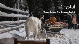  Presentation with forests - Presentation consisting of reindeer-sled-ride-through-snowy and a black colored foreground