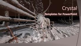  Presentation with snow - Presentation theme consisting of reindeer-sledge-in-the-snow and a wine colored foreground