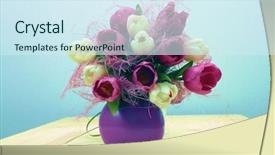  Presentation with wooden board empty table top - Slide set consisting of reinforcement - tulip bouquet on wooden board background and a sky blue colored foreground