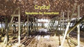  Presentation with norway - Cool new presentation design with reins - drying cod fish in winter backdrop and a tawny brown colored foreground