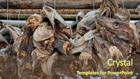  Presentation with storage and drying of grain - Amazing slides having reins - drying flakes with stockfish cod backdrop and a  colored foreground