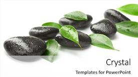  Presentation with green leaves - Cool new PPT theme with relax massage harmony - black stones and green leaves backdrop and a white colored foreground