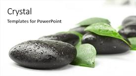  Presentation with green and black - Audience pleasing slide deck consisting of relax massage harmony - black stones and green leaves backdrop and a white colored foreground