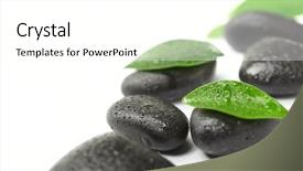  Presentation with green and black - Presentation theme enhanced with relax massage harmony - black stones and green leaves background and a white colored foreground
