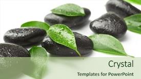  Presentation with drone green and black - Colorful theme enhanced with relax massage harmony - black stones and green leaves backdrop and a  colored foreground