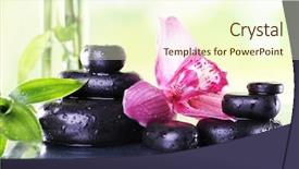  Presentation with spa stones leaves - Audience pleasing presentation theme consisting of relax massage harmony - spa stones bamboo branches backdrop and a cream colored foreground