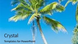  Presentation with serenity - Beautiful slides featuring relaxation in peace serenity shore backdrop and a light blue colored foreground