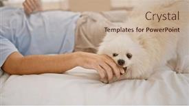  Presentation with lifestyle - PPT theme with relaxed-morning-scenario-with-handsome and a mint green colored foreground