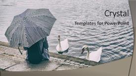  Presentation with rain city - Amazing slide deck having relaxing by pond feeding two backdrop and a light gray colored foreground