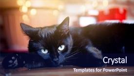  Presentation with christmas black - Presentation design consisting of relaxing in front of christmas background and a navy blue colored foreground