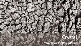  Presentation with tree - Beautiful slides featuring relief bark of a tree backdrop and a gray colored foreground