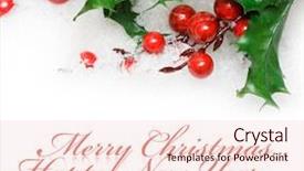  Presentation with christmas holly - Beautiful presentation theme featuring religion christmas - european holly in white snow backdrop and a lemonade colored foreground