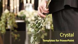  Presentation with white rose - Cool new slide deck with ireland flag combined with australian backdrop and a sky blue colored foreground