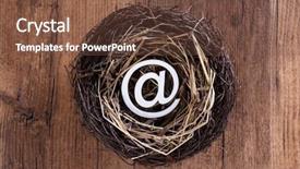  Presentation with eggs egg carton egg box - Presentation theme with religion symbol globe - mail sign with eggs background and a tawny brown colored foreground