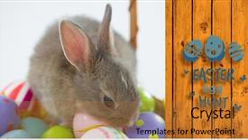  Presentation with graphic - Slide set consisting of religion theme - easter egg hunt graphic background and a  colored foreground