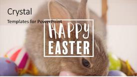  Presentation with easter bunny yellow spring flower - Audience pleasing PPT theme consisting of religion theme - easter greeting against bunny backdrop and a coral colored foreground