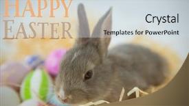  Presentation with easter - Slide deck having religion theme - easter greeting against easter eggs background and a  colored foreground