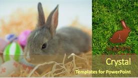  Presentation with easter - Colorful theme enhanced with religion theme - happy easter greeting against grass backdrop and a  colored foreground