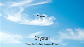  Presentation with seagull - Presentation having religious free - seagull in the sky background and a light blue colored foreground