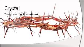  Presentation with thorns - Theme featuring religious humility - crown made of thorns isolated background and a white colored foreground