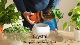  Presentation with home gardening - Slide set featuring relocation - gardening planting at home man background and a coral colored foreground