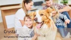  Presentation with family pet - Slide set consisting of relocation building - dog as a pet background and a coral colored foreground