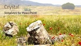  Presentation with poppy - Cool new presentation with remains-of-ancient-columns backdrop and a white colored foreground