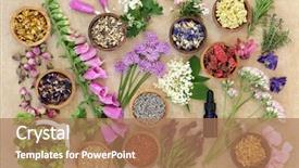  Presentation with aromatherapy oil - Colorful presentation design enhanced with remedies with aromatherapy essential oil backdrop and a coral colored foreground