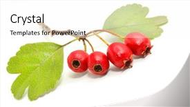  Presentation with complex - Amazing PPT theme having remedy for those with circulatory backdrop and a white colored foreground