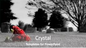  Presentation with cemetery - Slide set consisting of rememberance - flowers lost in the grass background and a gray colored foreground