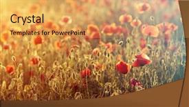  Presentation with remembrance - Cool new slide set with rememberance - poppies in the field backdrop and a  colored foreground