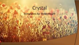  Presentation with remembrance - Presentation theme with rememberance - poppies in the field background and a  colored foreground