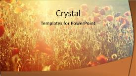  Presentation with remembrance - Beautiful presentation theme featuring rememberance - poppies in the field backdrop and a  colored foreground