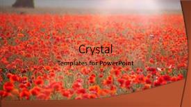  Presentation with red gold green field - Presentation theme having poppies in the sunset light background and a  colored foreground
