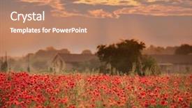  Presentation with beautiful nature - Beautiful slide deck featuring war light backbround - beautiful field of red poppies backdrop and a coral colored foreground