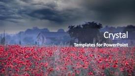  Presentation with red gold green field - Amazing slide set having war light backbround - beautiful field of red poppies backdrop and a ocean colored foreground