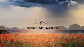  Presentation with beautiful nature - Beautiful slide set featuring war light backbround - beautiful field of red poppies backdrop and a coral colored foreground