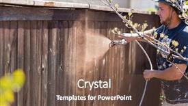  Presentation with professional - Amazing theme having remodel sales - professional painter spraying house yard backdrop and a tawny brown colored foreground