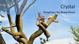  Presentation with chainsaw - Audience pleasing slide set consisting of removal arborist rigging and fell backdrop and a light blue colored foreground