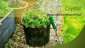 Presentation with weeds - Presentation theme featuring removing-weeds-in-garden-bucket background and a yellow colored foreground