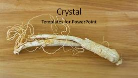  Presentation with ginseng - Audience pleasing presentation consisting of ren - closeup of dried radix ginseng backdrop and a gold colored foreground