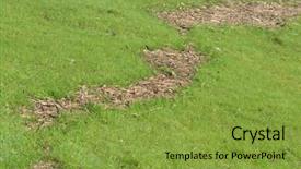  Presentation with road yellow - Cool new slide set with ren - green grassland with a yellow backdrop and a gold colored foreground