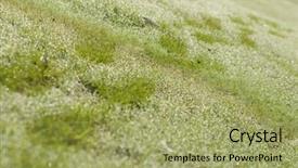  Presentation with step - Presentation theme featuring ren - green grassland with deep step background and a mint green colored foreground