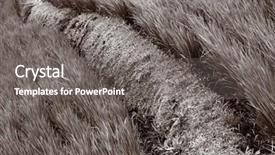  Presentation with beautiful green - Theme consisting of ren - it is a beautiful green background and a gray colored foreground