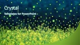  Presentation with rapeseed oil - Beautiful PPT layouts featuring rendered digitally photo base backdrop and a ocean colored foreground