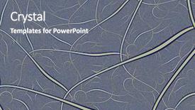  Presentation with nerve - Amazing presentation design having rendition of a human nerve backdrop and a gray colored foreground