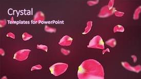  Presentation with rose falling animation - Theme having repeatable falling rose petals background and a tawny brown colored foreground