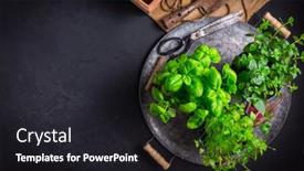  Presentation with urban green - Presentation design enhanced with replanting-herbs-plants-in-pots background and a dark gray colored foreground