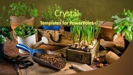  Presentation with urban green - Cool new slide deck with replanting-plants-herbs-flowers backdrop and a tawny brown colored foreground