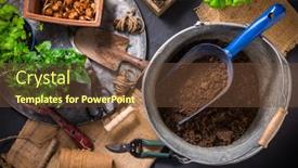  Presentation with urban green - PPT theme enhanced with replanting-plants-herbs-flowers background and a tawny brown colored foreground